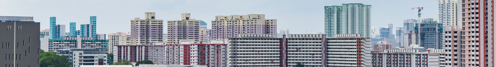 Along Champions Way Cover Image